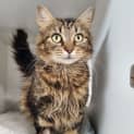 Photo of Delilah