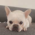 Photo of Prim Yarbury