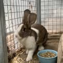 Photo of Beatrix