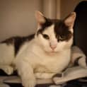 Photo of Micka