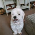 Photo of Juddy