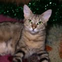 Photo of Zeezee