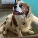 Photo of Molly