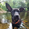 Photo of Shelly