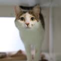 Photo of Honey