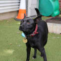 Photo of Sandy