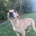 Photo of Kyia
