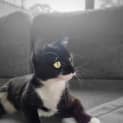 Photo of Daisey
