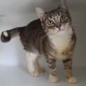 Photo of Maxina