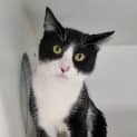 Photo of Nikey
