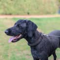 Photo of Tilly