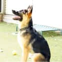 Photo of Parker