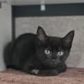 Photo of Bertha
