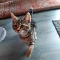 Photo of Mae 