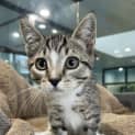 Photo of Jingle