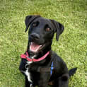 Photo of Xena