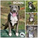 Photo of Bonni 
