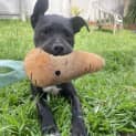 Photo of Azula