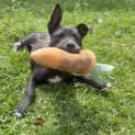 Photo of Azula