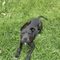 Photo of Azula