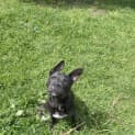 Photo of Azula