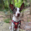 Photo of Bounty