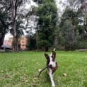 Photo of Bounty