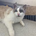 Photo of Monty