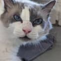 Photo of Monty