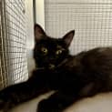 Photo of Honey