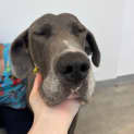 Photo of Heidi