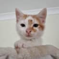 Photo of Tom