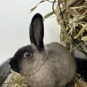 Photo of Wilma