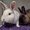Photo of Wilma