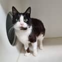 Photo of Cutie