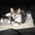 Photo of Yumi