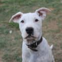 Photo of Tuck