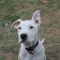 Photo of Tuck