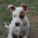 Photo of Rolly