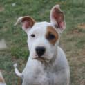 Photo of Rolly