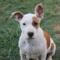 Photo of Rolly