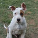 Photo of Rolly