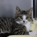 Photo of Willow