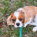 Photo of Dora