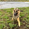 Photo of Carter
