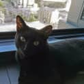 Photo of Narisha 