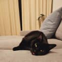 Photo of Poppy