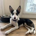 Photo of Atlas