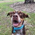 Photo of Bundy