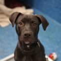 Photo of Axel